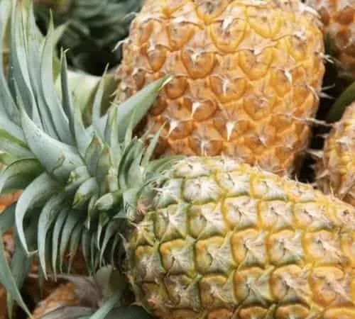 Pineapples
